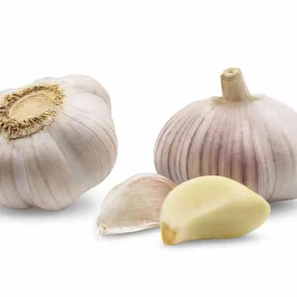 Ajo