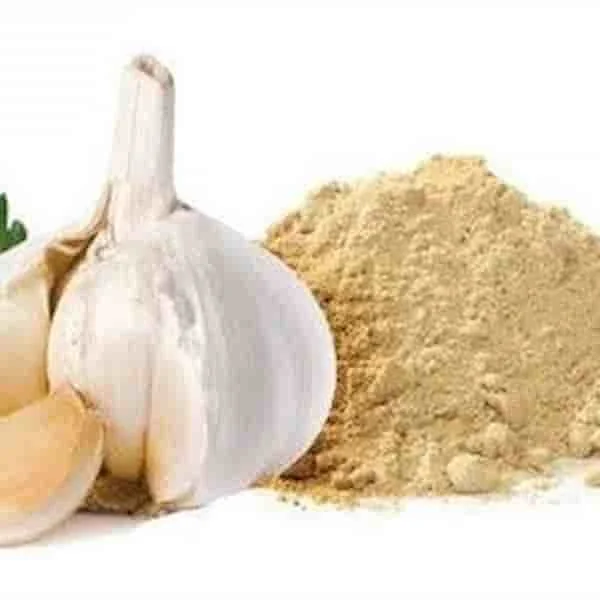 Ajo Molido