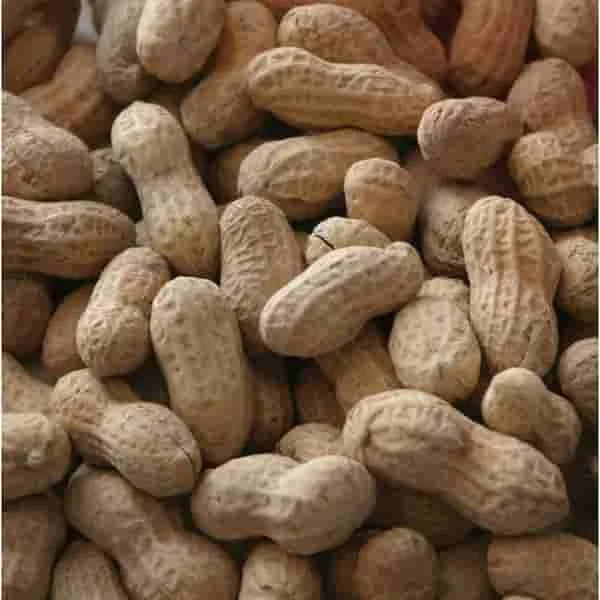 Cacahuate Cáscara