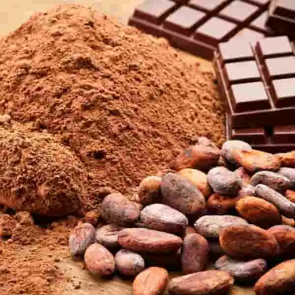 Cocoa