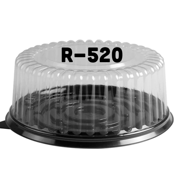 Contenedor R-520 C/100