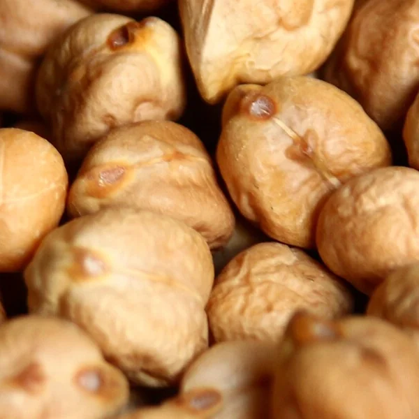 Garbanzo