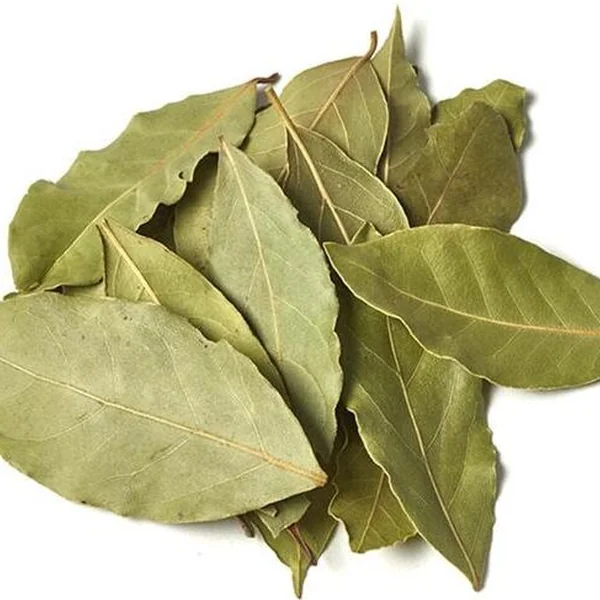Laurel Kg
